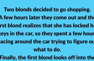 Two blonds decided to go shopping