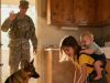 A soldier comes back from deployment to discover his little daughter caring for her baby brother all by herself. Their loyal dog has become their protector, while the stepmother vanished long ago with her lover.