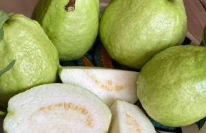 The Powerful Benefits of Eating Guava Regularly for Women