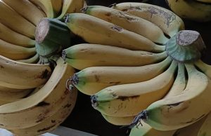 Doctors reveal that eating bananas regularly for 6 months causes