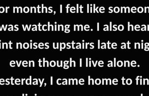 I Thought Someone Was Watching Me — What I Discovered Instead Changed My Life