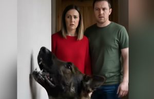 The Truth Behind the Wall: What Max Knew From the Beginning and Nobody Wanted to Believe