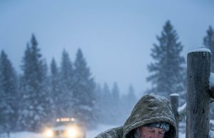 The Montana Blizzard’s Secret: A grieving recluse rescued a dying dog, only to uncover his best friend’s blood-chilling crime hidden in the snow.